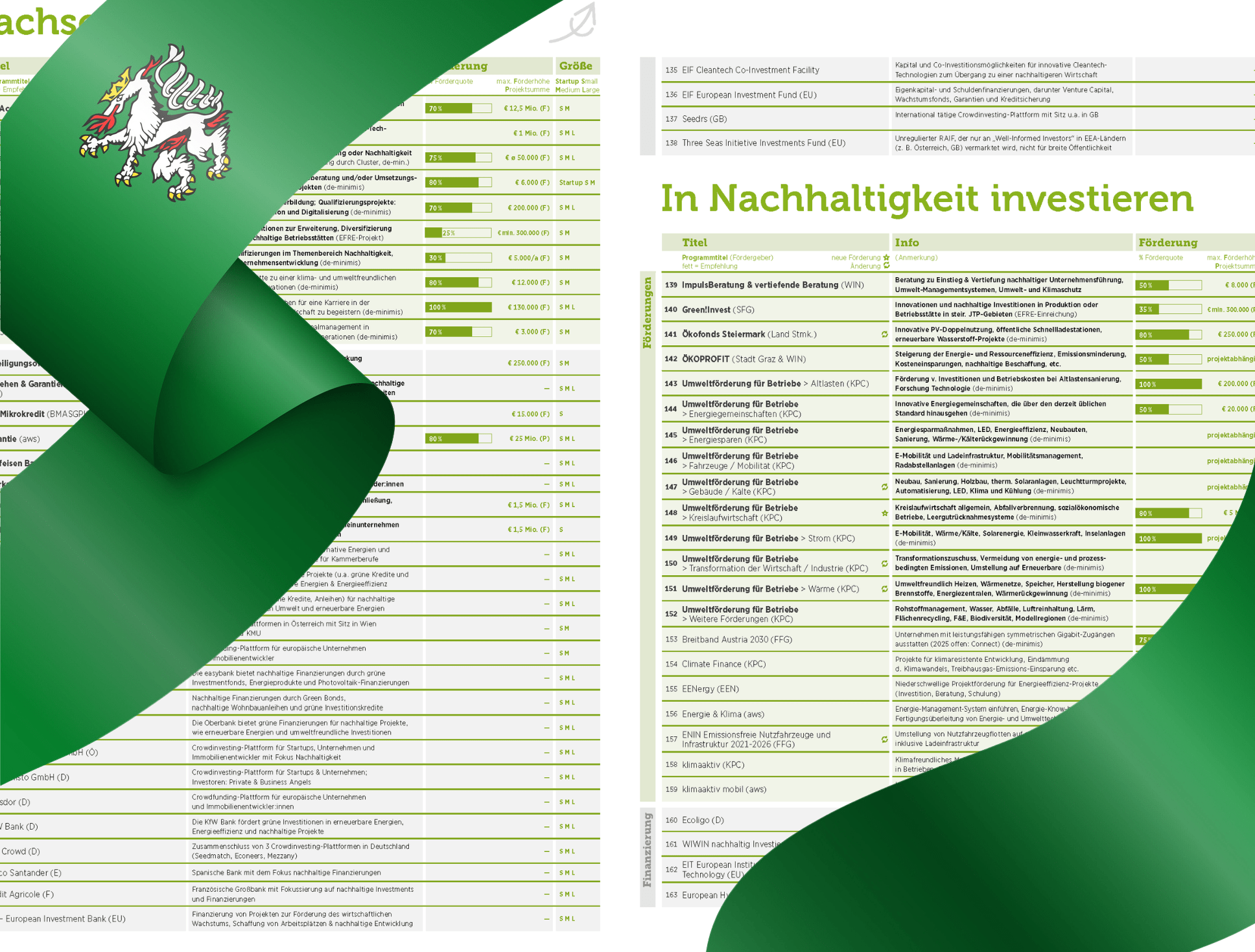 Grafik der Green Tech Förderungslandkarte 2025 mit Flagge der Steiermark