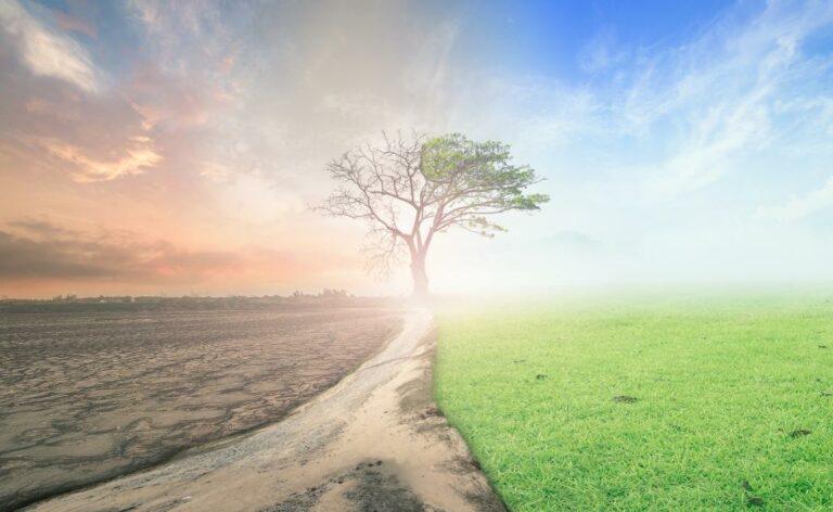 Blog-baum-gruenbraun-iStock_news