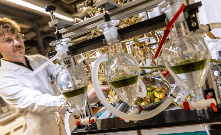 Extrahierte Tomatenreste im Schütteltrichter (c) TU Graz/Lunghammer