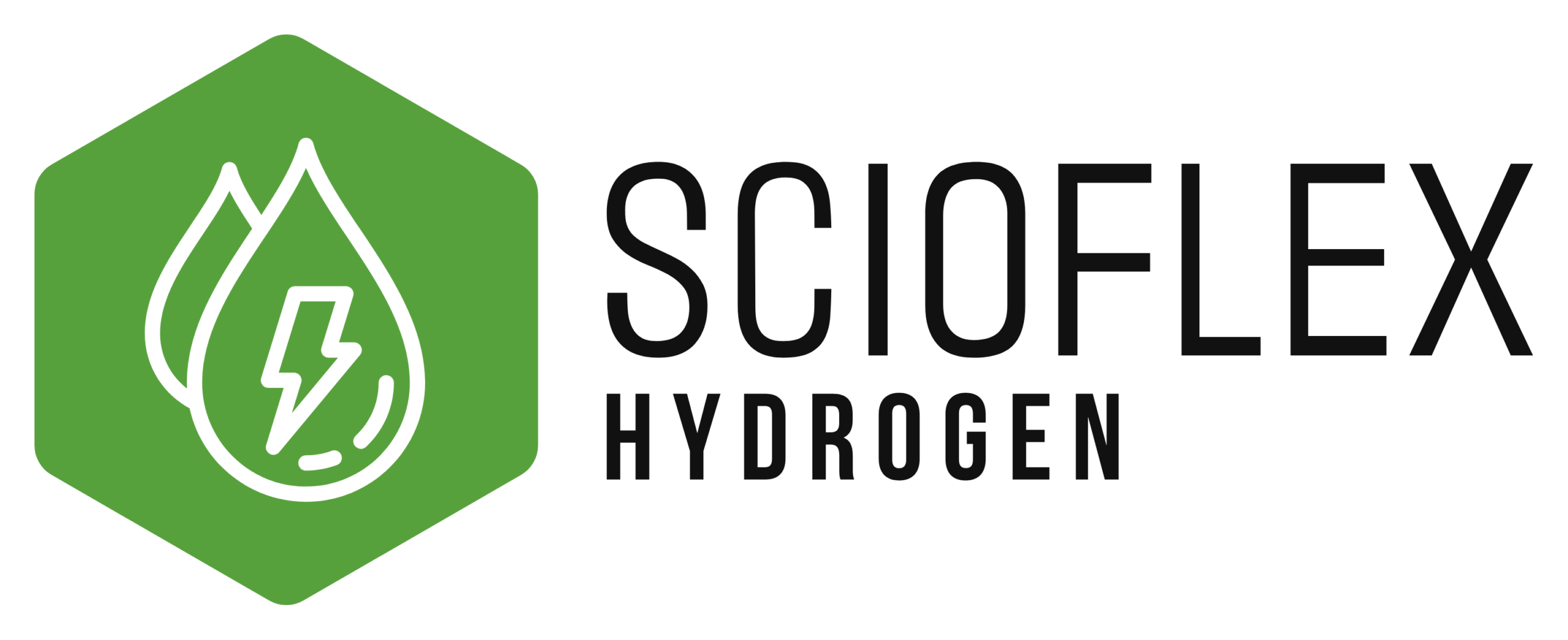 Logo Scioflex
