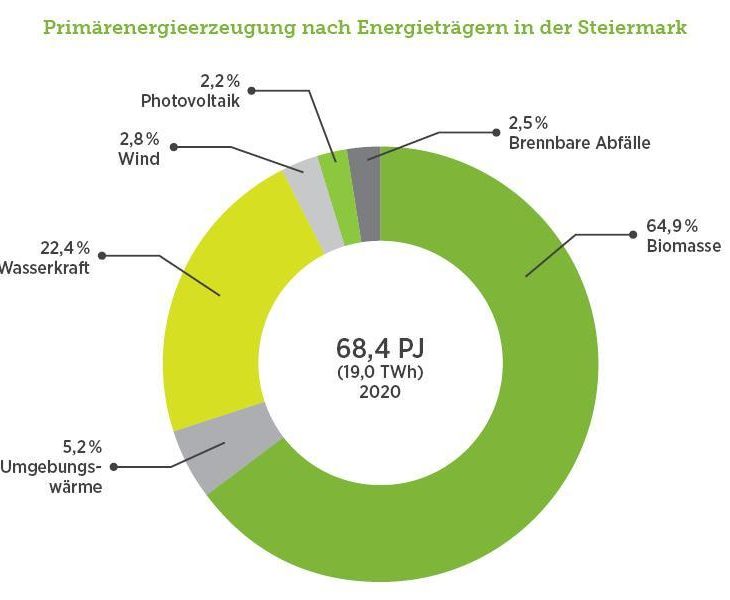 Green Tech Cluster, Erneuerbare Energien, Primärenergieerzeugung Energieträger Steiermark, 2022